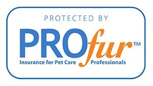 Pet-sitter-insurance-certificate