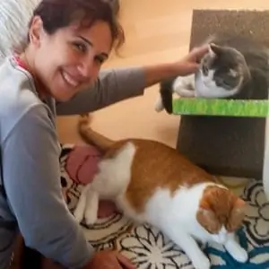 cat-trainer-Doaa-play-with-two-cats