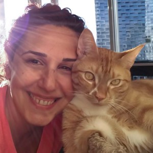 holistic cat trainer
