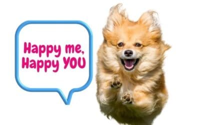 The #1 Thing Missing From Dog Training? Your Dog’s Happiness