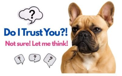 Commands Are Cheap. Trust Is Priceless. Does Your Dog Trust You?