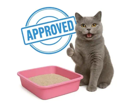 cat approved litterbox cat approved litterbox