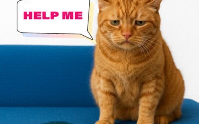 Your Cat’s Litter box Problem Is a Desperate Cry for Help – Don’t Ignore It