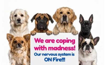 16 Aggressive Dog Behaviors. And Why Your Dog Needs To Do Them