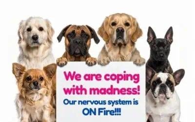 16 Aggressive Dog Behaviors. And Why Your Dog Needs To Do Them