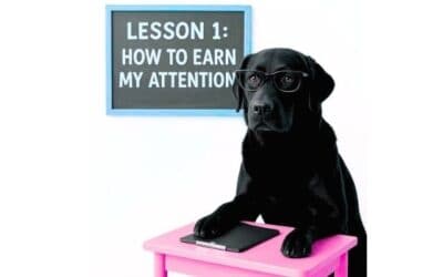 Stop Demanding Your Dog’s Attention. Start Earning It. Here’s Why