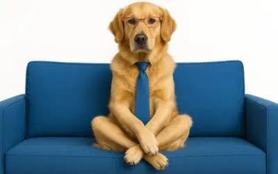 How to Respect Your Dog? Because Love Won’t Cut It
