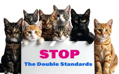 The Shocking Double Standards We Have With Our Cats. Your Wake-up Call