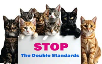 The Shocking Double Standards We Have With Our Cats. Your Wake-up Call