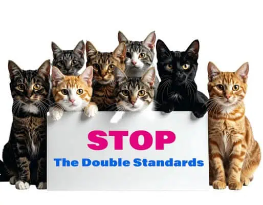 a group of cats protesting to stop the double standards a group of cats protesting