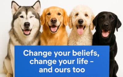 The Conscious Dog Parent Mindset: The Beliefs That Transform Behavior