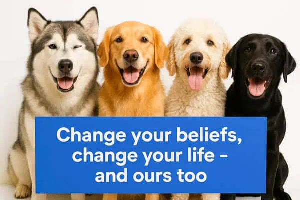 Conscious-dog-parent-beliefs conscious dog parent beliefs