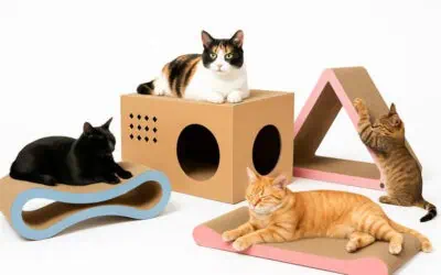 Best Cat Cardboard Scratchers on Amazon Canada