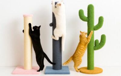 Best Vertical Cat Scratchers on Amazon Canada