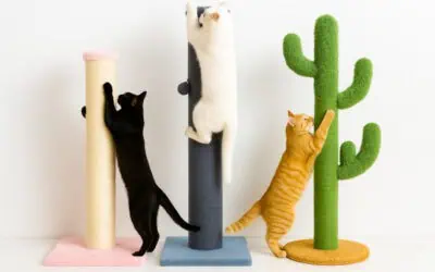 Best Vertical Cat Scratchers on Amazon Canada