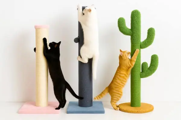natural balance wet cat food Natural Balance Canned Cat Food