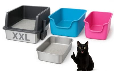 My Absolute Best Cat-Approved Litter boxes on Amazon Canada For Adult Cats