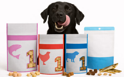 Best Healthy Dog Treats on Amazon Canada