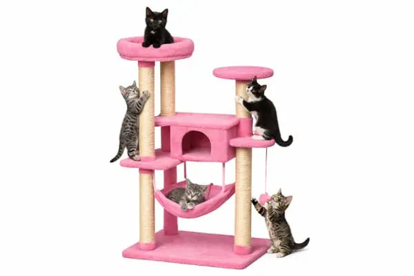Amazon-Canada-cat-tree-for-Kittens best Amazon Canada cat trees for Kittens