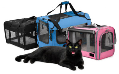 The Best Cat Carriers on Amazon Canada Cats Consistently Choose