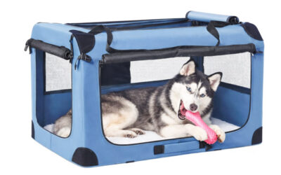The Best Dog Carriers on Amazon Canada That Respect Dogs