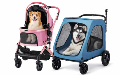 Best Dog Strollers on Amazon Canada – Take Your Dog Everywhere