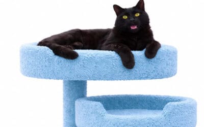 The Mind-Blowing Benefits of Cat Trees Every Cat Parent Needs to Know