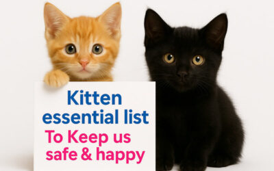 Kitten Essential List: Must-Have Shopping List and To-Do List for New Kitten Parents