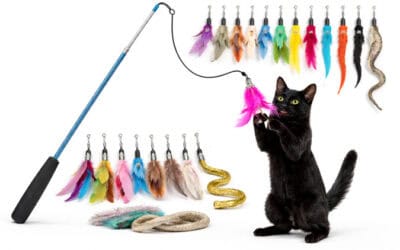 What Cat Wands Are For (And My Top Amazon Canada Picks)