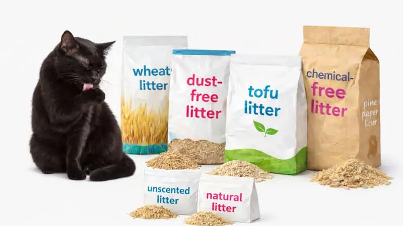 best natural cat litter Amazon Canada best natural cat litter Amazon Canada