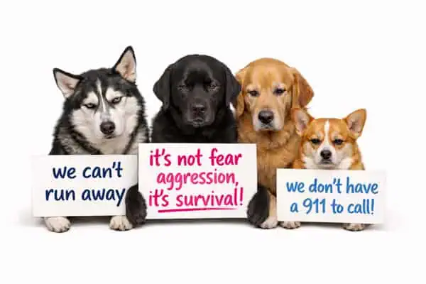 dog-fear-aggression-is-survival dog fear aggression is survival