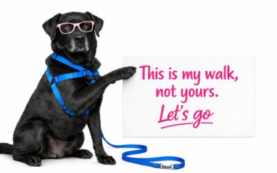 Your Dog Pulls on the Leash Because They are Deprived – The Unmet Needs Dilemma