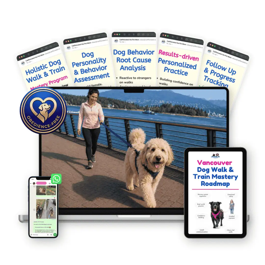Vancouver dog walk and train programs mockup