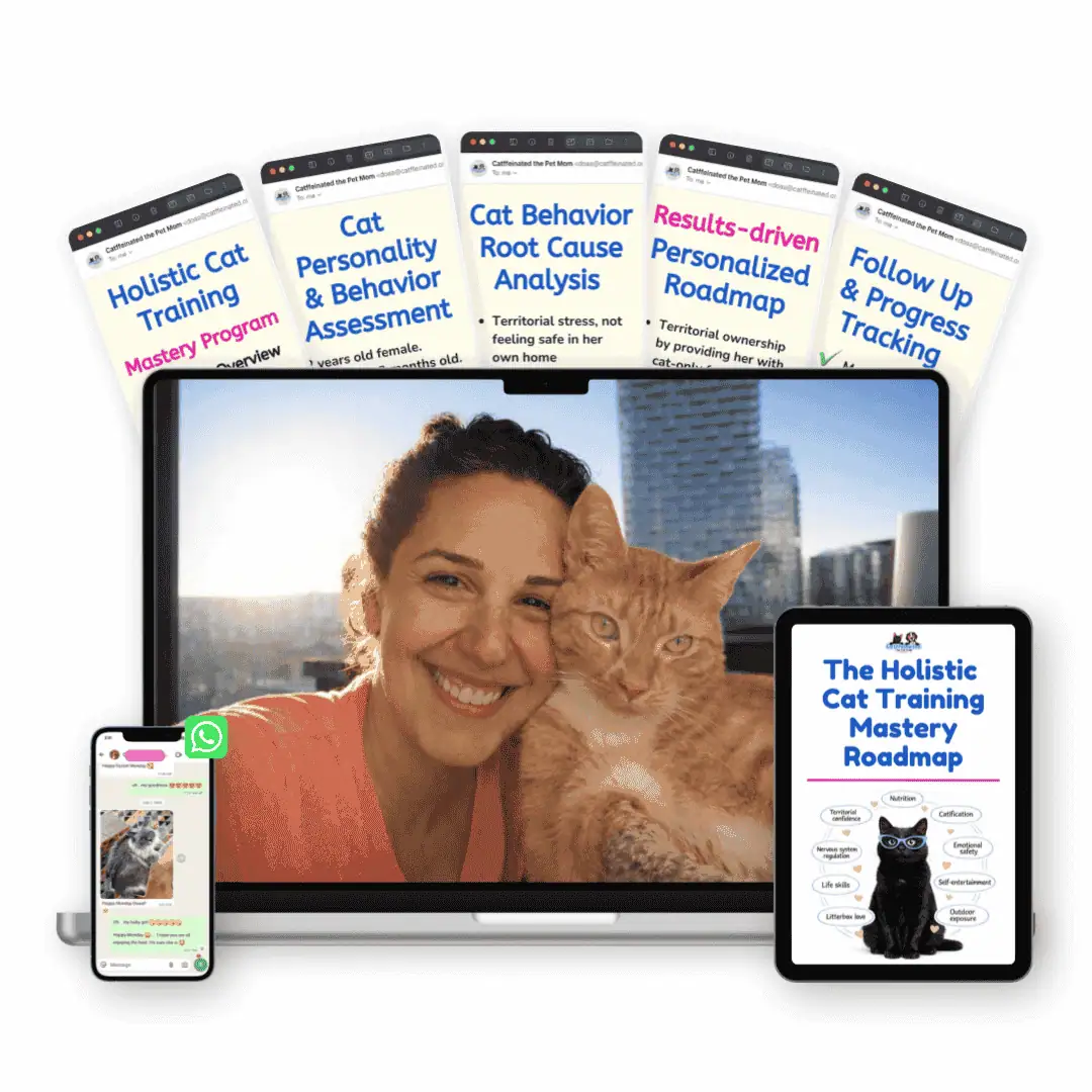 holistic cat training programs mockup