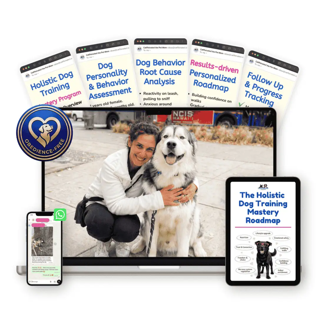 holistic dog training programs mockup