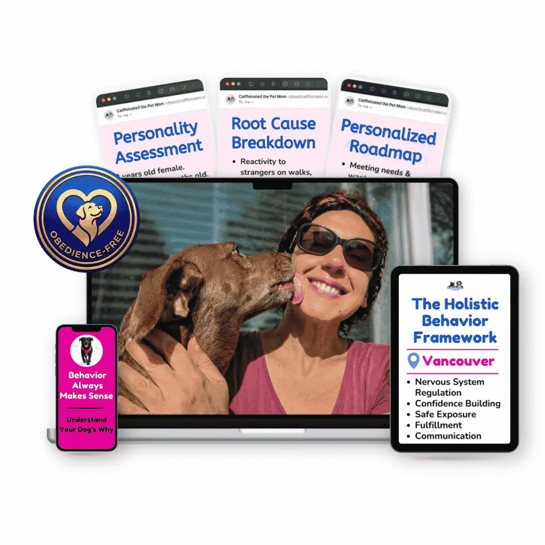 Vancouver dog behavior breakthrough session mockup