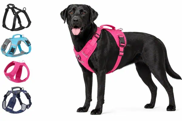 best dog harnesses Amazon Canada best dog harnesses Amazon Canada