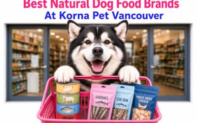 Best Natural Dog Food Brands at Korna Pet Vancouver