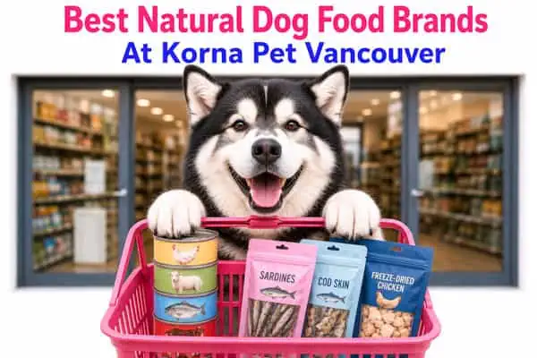best natural dog food korna pet Vancouver best natural dog food at Korna pet Vancouver
