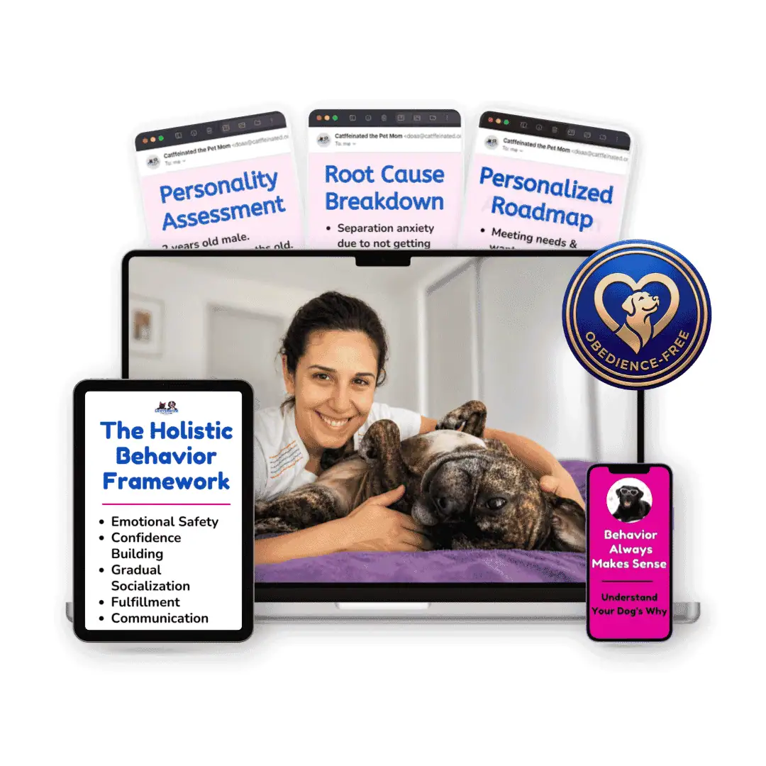 online dog behavior breakthrough session mockup