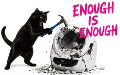 The Convenience Trap: Why Self-Cleaning Litter Boxes Are A Nightmare For Cats