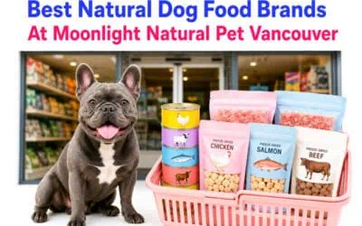 Best Natural Dog Food Brands at Moonlight Pet Store Vancouver