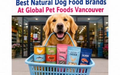 Best Natural Dog Food Brands at Global Pet Foods Vancouver