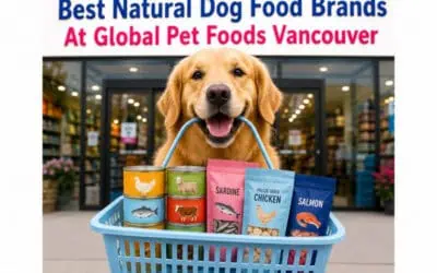 Best Natural Dog Food Brands at Global Pet Foods Vancouver