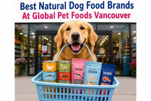 best natural dog food global pet foods Vancouver best natural dog food at Global Pet Foods Vancouver
