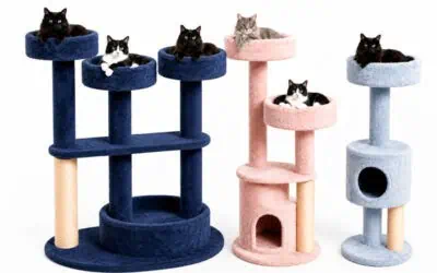 Best Cat Trees for Large Adult Cats on Wayfair Canada