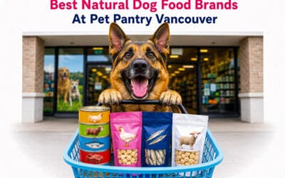Best Natural Dog Food Brands at Pet Pantry Vancouver