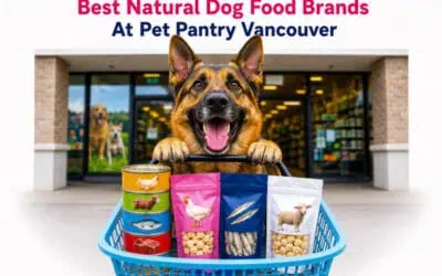 Best Natural Dog Food Brands at Pet Pantry Vancouver