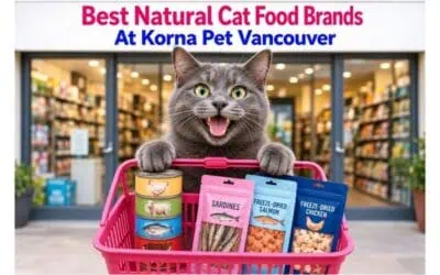 Korna Pet Vancouver: My Top-Pick Cat Food Brands