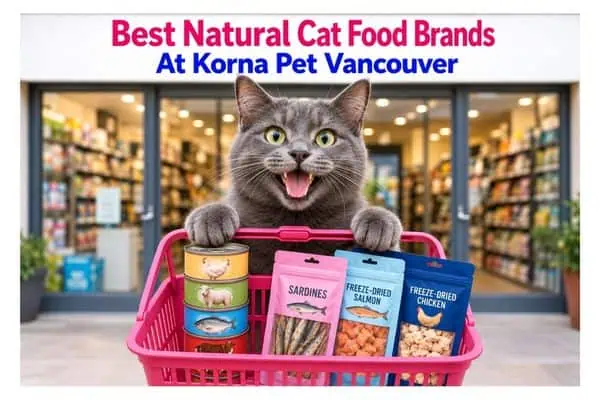 best cat food brands Korna Vancouver